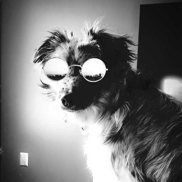 Meet your Posher, Jason - Picture 1 of 1